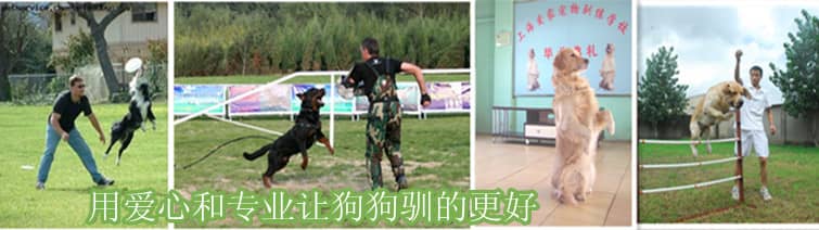上海爱家宠物学校