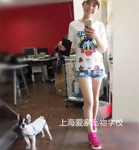 法斗训练.jpg