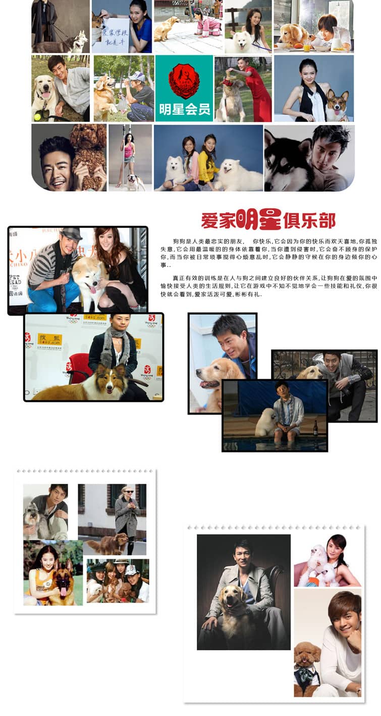 爱家训狗俱乐部.jpg