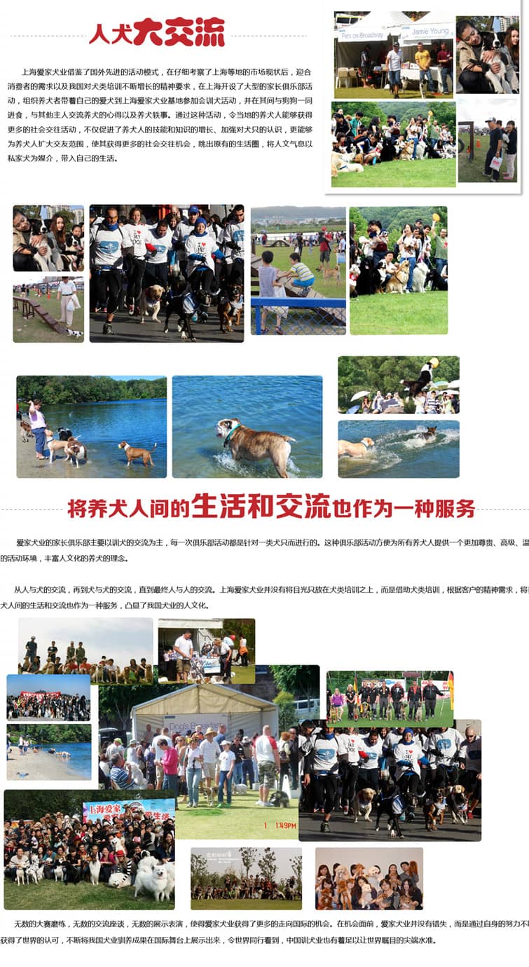 爱家宠物训练学校.jpg