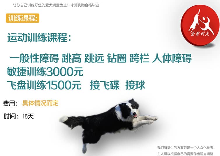 边境犬飞盘专业训练收费标准 边境犬飞盘专业训练收费标准