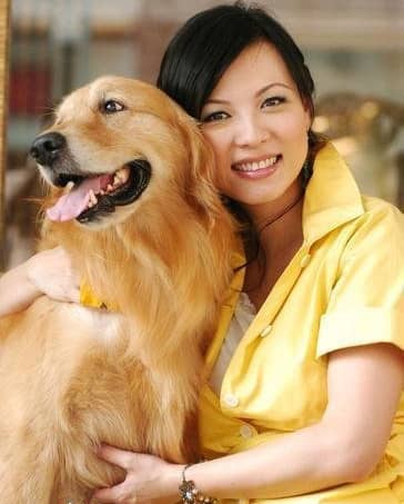 狗狗租赁 出租狗狗 狗狗租赁 出租狗狗