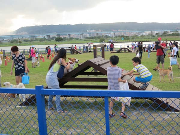宠物聚会 上海爱家宠物学校 宠物聚会 上海爱家宠物学校