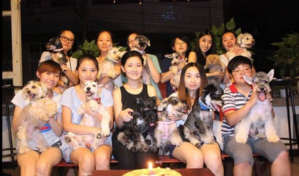 狗狗生日聚会 狗狗活动聚会 狗狗生日聚会 狗狗活动聚会