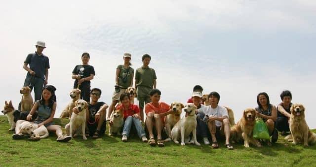23290966_snap_副本.jpg 23290966_snap_副本.jpg
