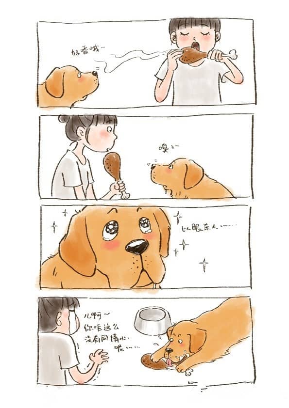上海犬行为纠正 犬行为改良 上海犬行为训导 上海犬行为纠正 犬行为改良 上海犬行为训导