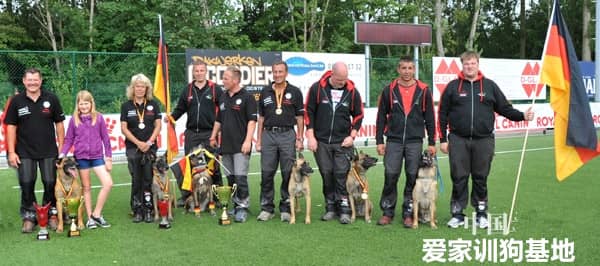 训狗培训问答 训狗问答 训犬师培训 宠物驯导师培训