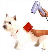 u=2970050684,1031137089&fm=21&gp=0.jpg u=2970050684,1031137089&fm=21&gp=0.jpg