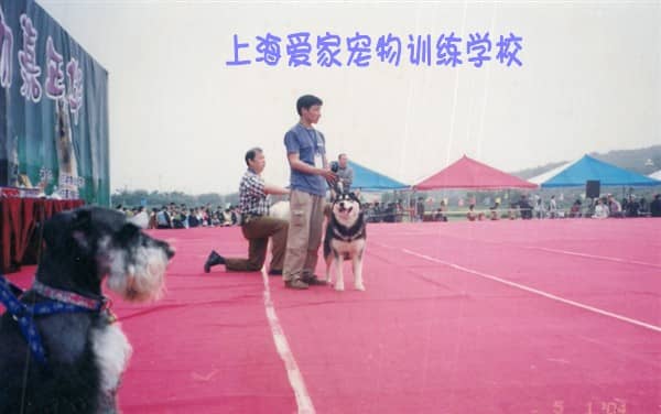 带狗上学校 狗狗培训基地 训狗基地.JPG