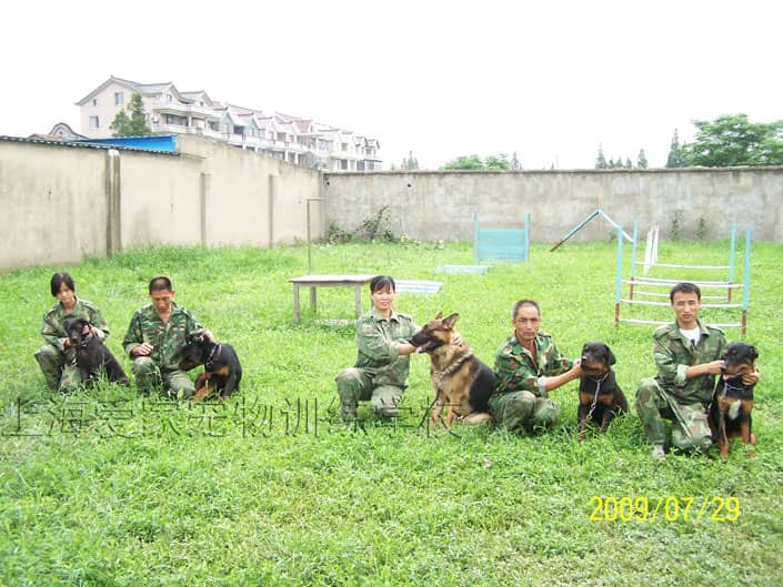 罗威纳专业培训 专业培训罗威纳犬 爱家训犬基地.JPG