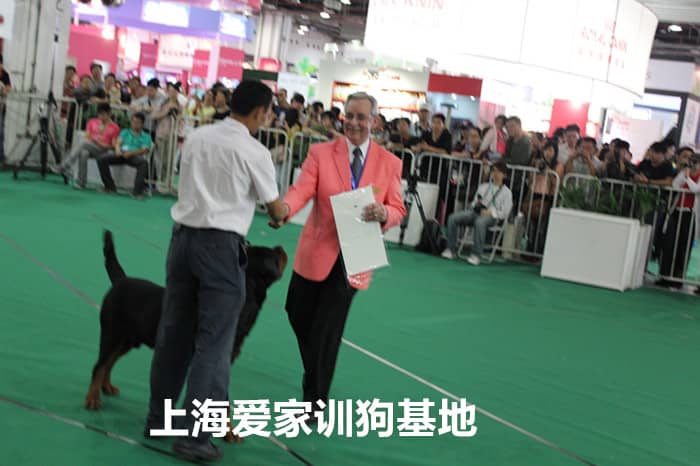 训狗获奖 训狗表演 训狗赛事 训狗师比赛_副本.jpg