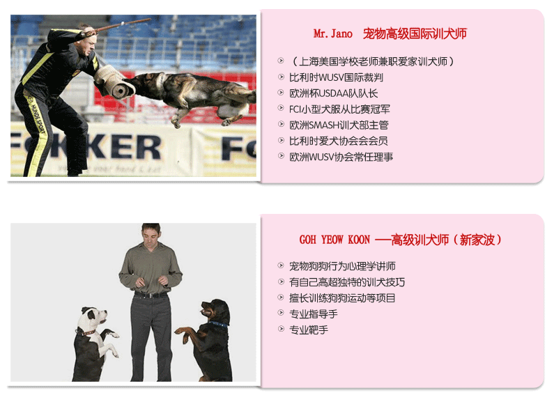 源文件训犬师介绍_08.gif