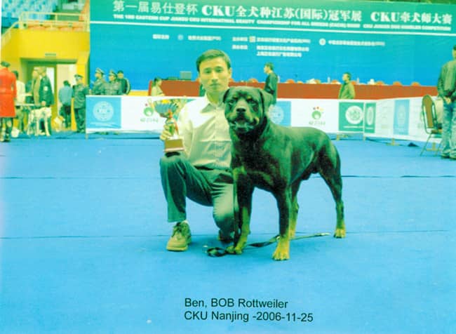 训练狗.jpg