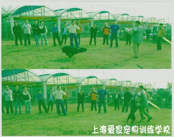 外籍教练罗威那训练_副本.jpg
