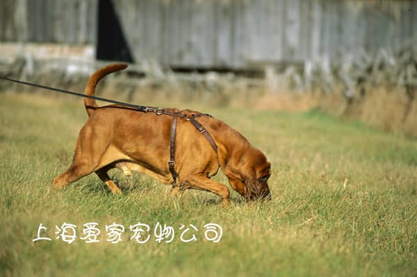 030.jpg 030.jpg