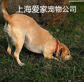 071.jpg