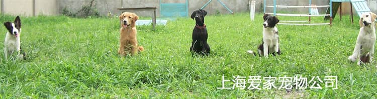 080.jpg