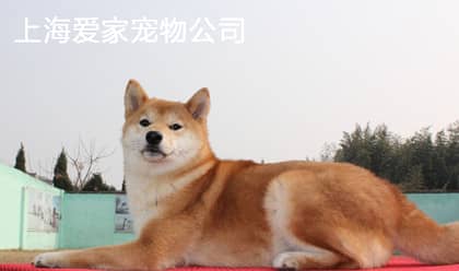 101.jpg 101.jpg