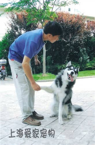102.jpg 102.jpg