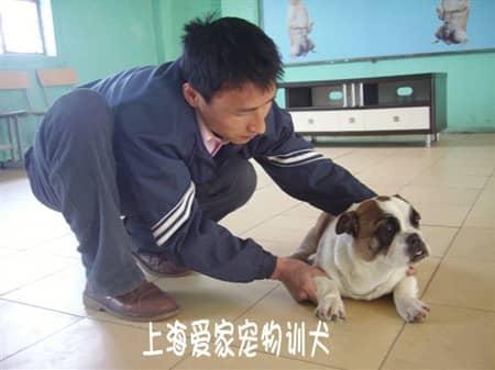 103.jpg
