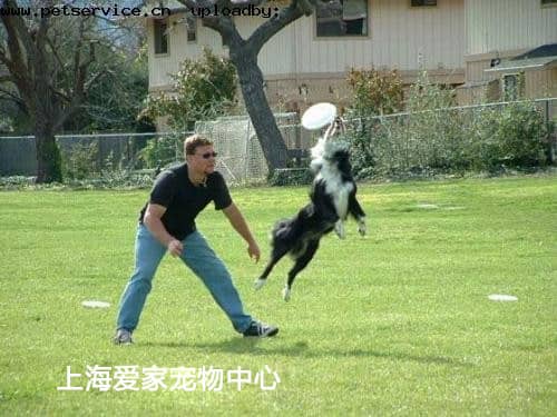 121.jpg 121.jpg