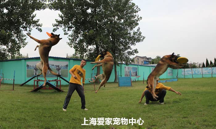 126.jpg 126.jpg
