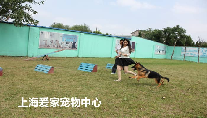 140.jpg 140.jpg