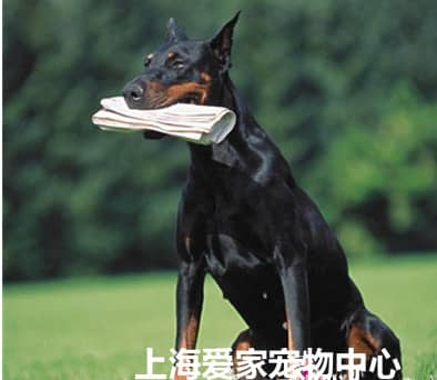 150.jpg 150.jpg