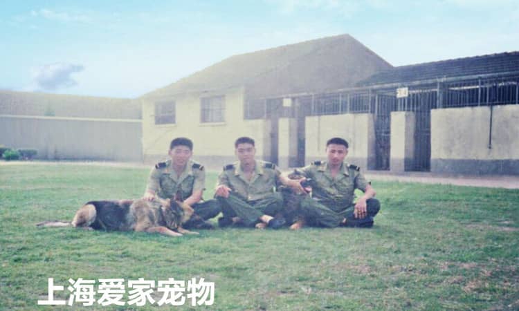 186.jpg 186.jpg