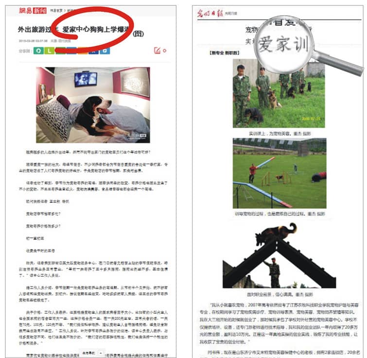 207.jpg