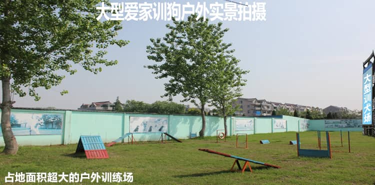 217.jpg 217.jpg