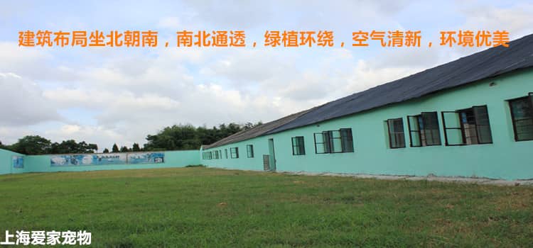 218.jpg 218.jpg