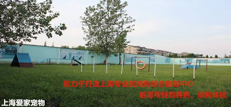 219.jpg 219.jpg