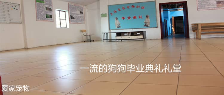 220.jpg 220.jpg