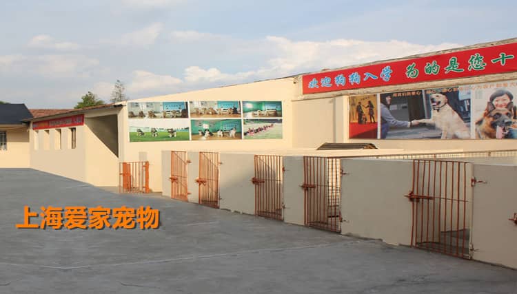 221.jpg 221.jpg