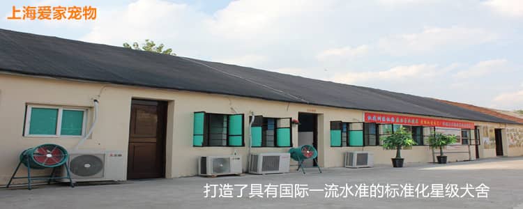 222.jpg 222.jpg
