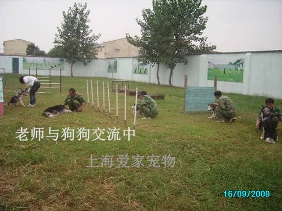 229.jpg 229.jpg