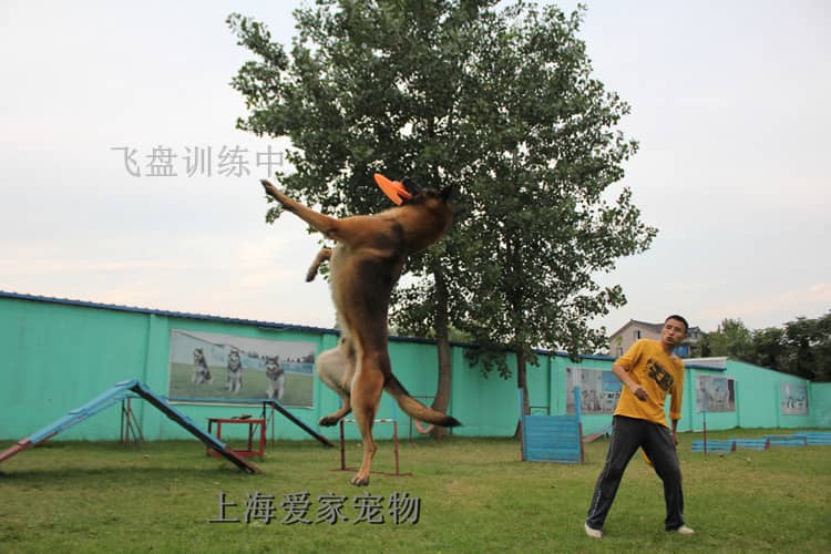 230.jpg 230.jpg