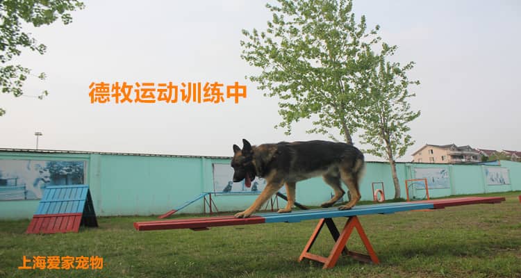 232.jpg 232.jpg