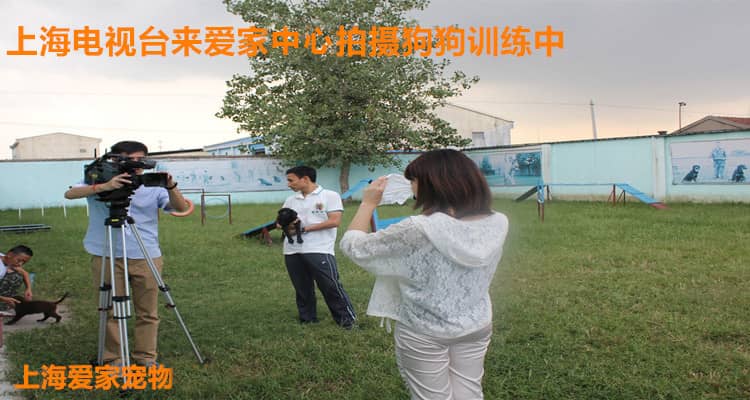 234.jpg 234.jpg