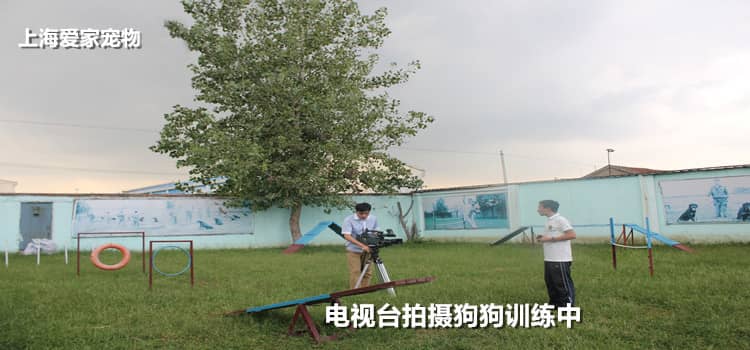 235.jpg 235.jpg