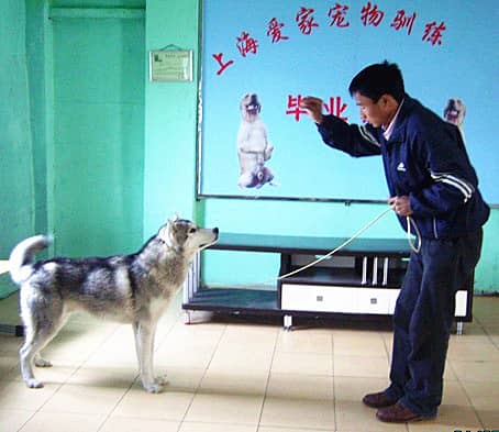 254.jpg 254.jpg