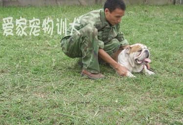 255.jpg 255.jpg