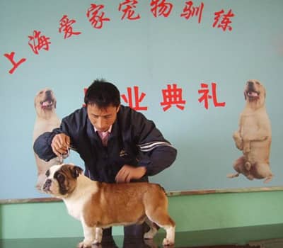 257.jpg 257.jpg