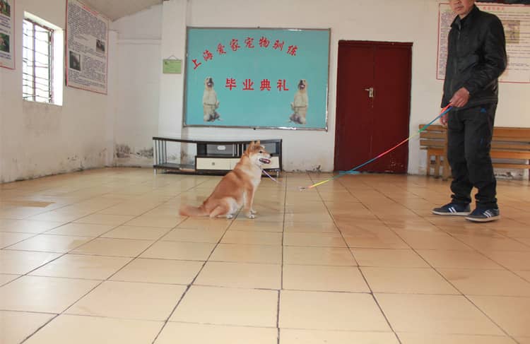 296.jpg 296.jpg