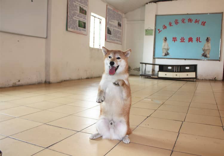 297.jpg 297.jpg