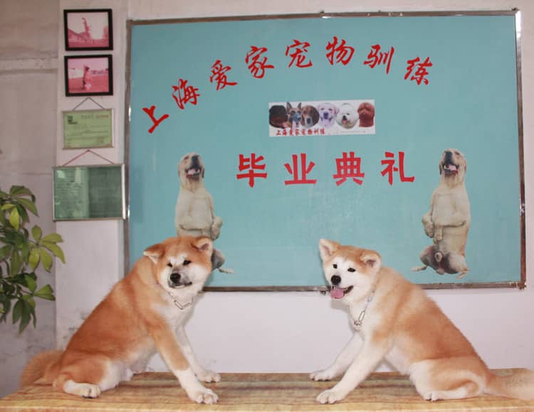 304.jpg 304.jpg