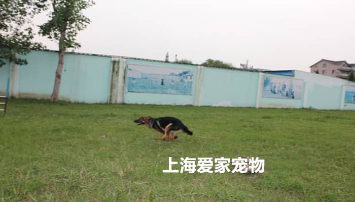 370.jpg 370.jpg