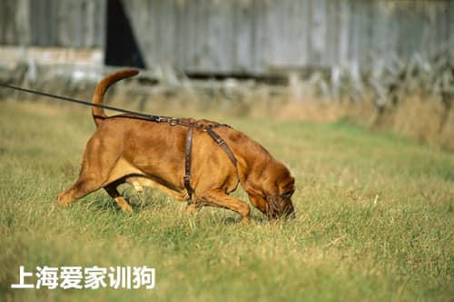 372.jpg 372.jpg
