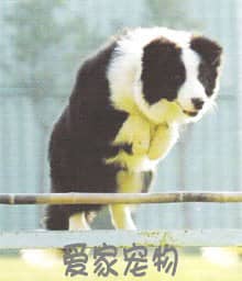 387.jpg 387.jpg